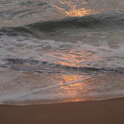 Photograph w