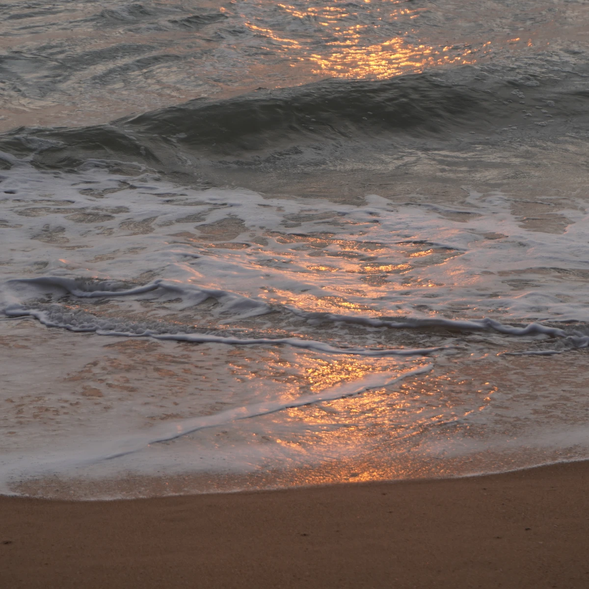 Photograph w
